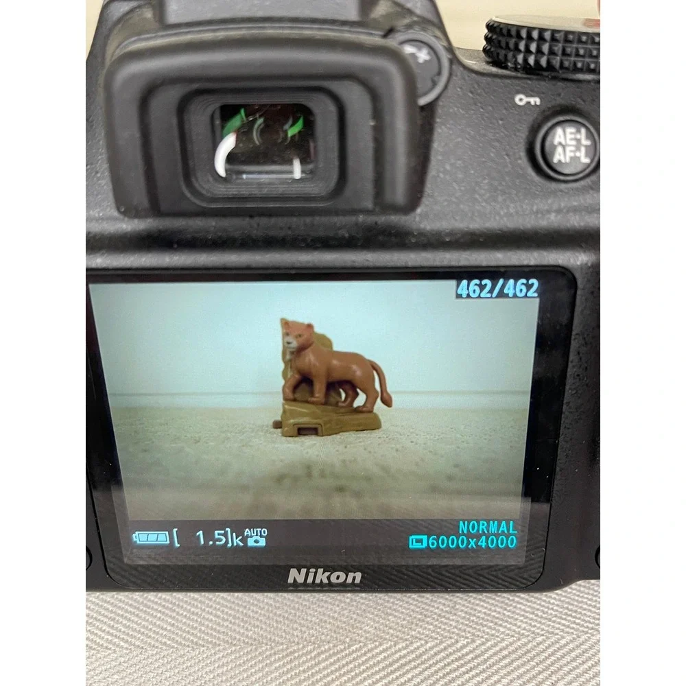 Nikon d3300 digital